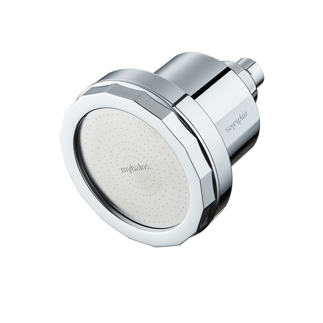 Filtered Shower Head