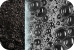 Step 1: Activated Charcoal